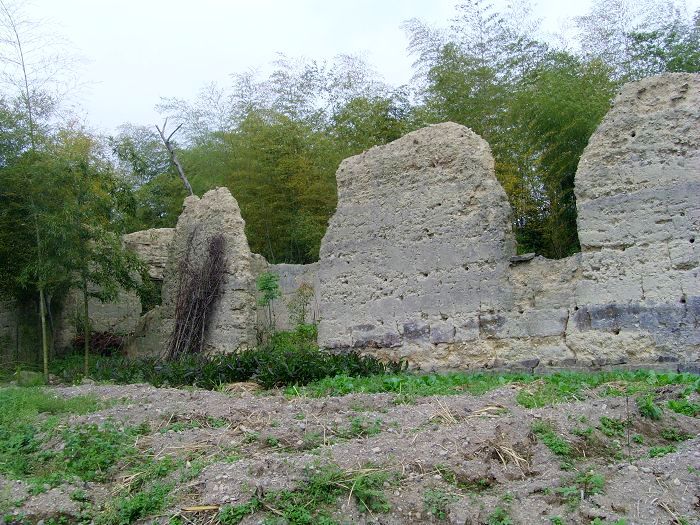 [天台驴友俱乐部]活动之---小走南山小岭