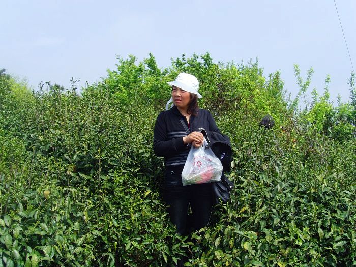 [天台驴友俱乐部]活动之---小走南山小岭