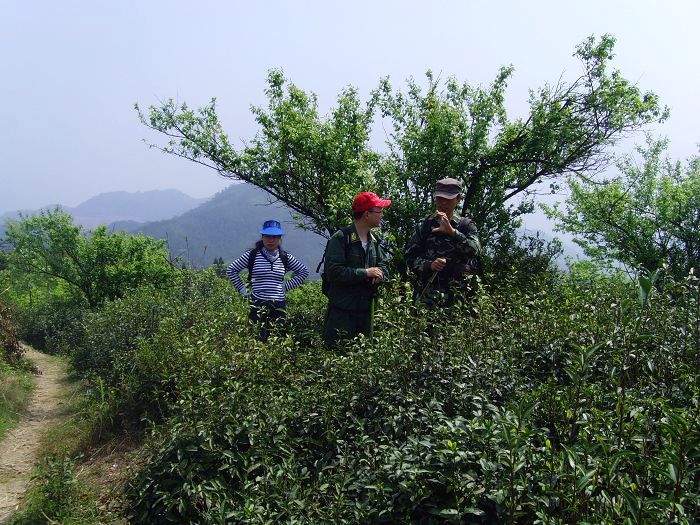 [天台驴友俱乐部]活动之---小走南山小岭