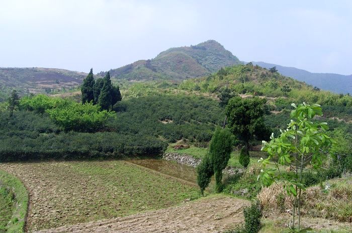 [天台驴友俱乐部]活动之---小走南山小岭