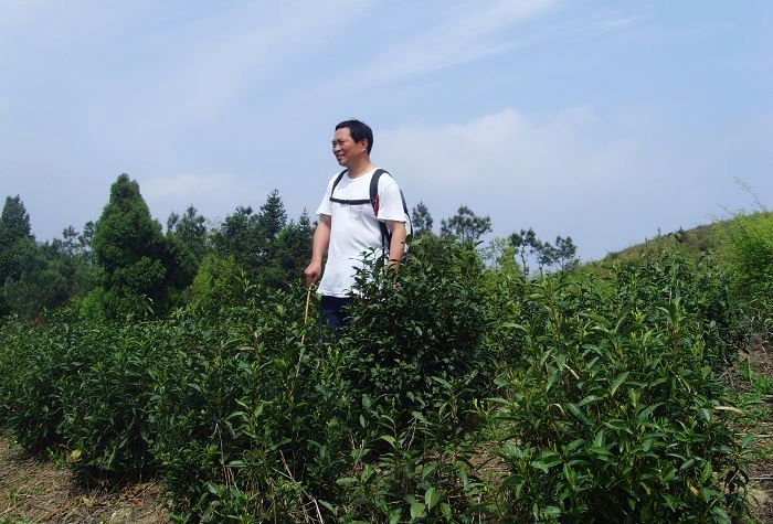 [天台驴友俱乐部]活动之---小走南山小岭