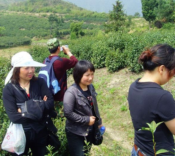 [天台驴友俱乐部]活动之---小走南山小岭