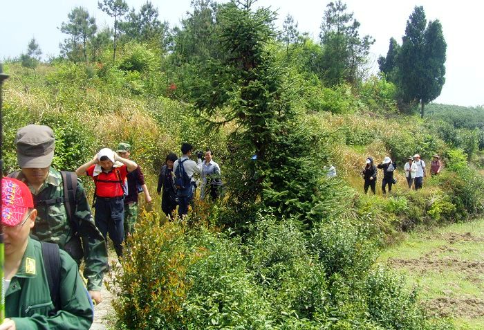 [天台驴友俱乐部]活动之---小走南山小岭