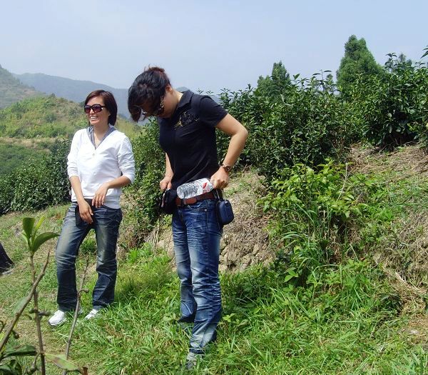 [天台驴友俱乐部]活动之---小走南山小岭