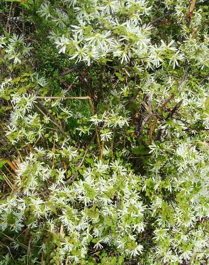 [天台驴友俱乐部]活动之---小走南山小岭
