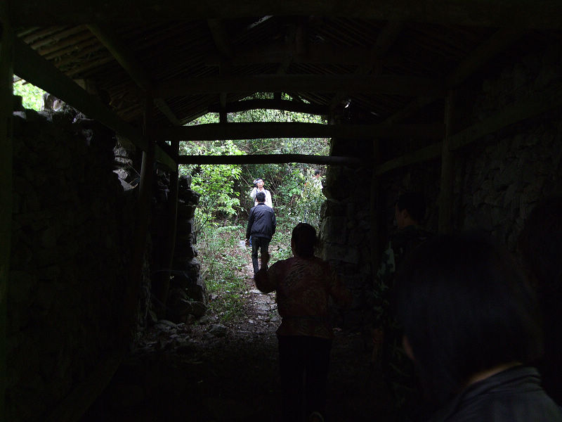 [天台驴友俱乐部]活动之---小走南山小岭