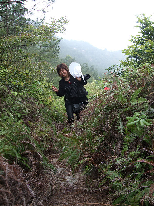 [天台驴友俱乐部]活动之---小走南山小岭