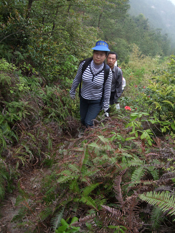 [天台驴友俱乐部]活动之---小走南山小岭
