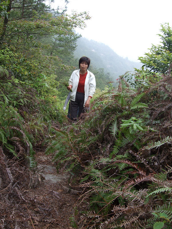 [天台驴友俱乐部]活动之---小走南山小岭