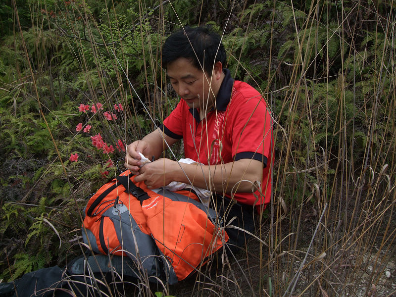 [天台驴友俱乐部]活动之---小走南山小岭