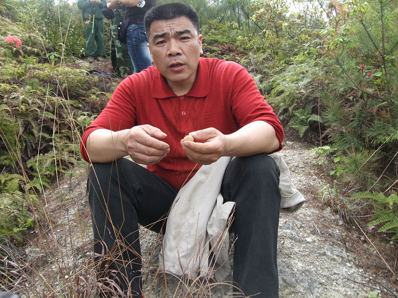 [天台驴友俱乐部]活动之---小走南山小岭