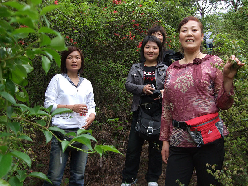 [天台驴友俱乐部]活动之---小走南山小岭