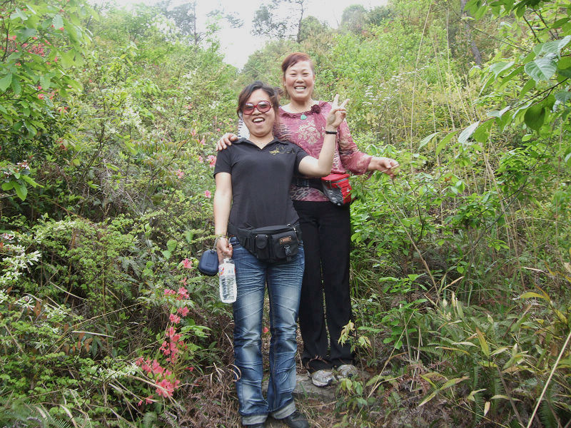 [天台驴友俱乐部]活动之---小走南山小岭