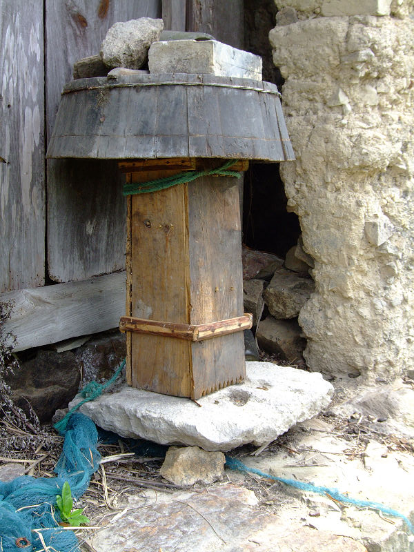 [天台驴友俱乐部]活动之---小走南山小岭