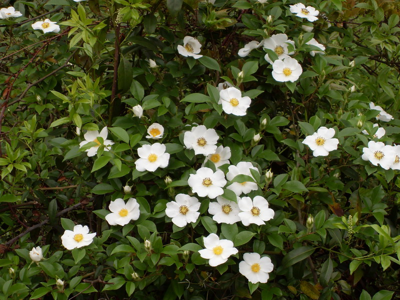 [天台驴友俱乐部]活动之---小走南山小岭
