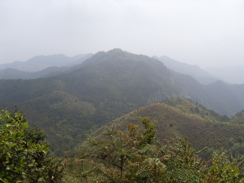 [天台驴友俱乐部]活动之---小走南山小岭