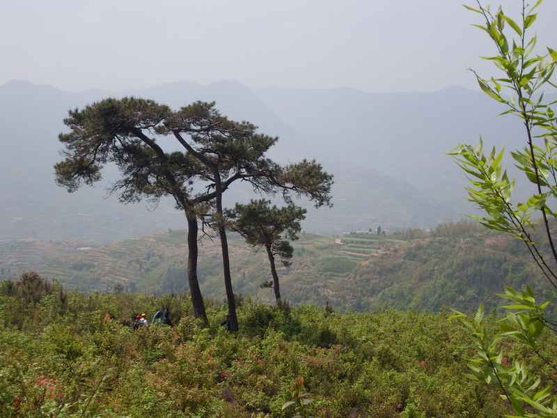 [天台驴友俱乐部]活动之---小走南山小岭