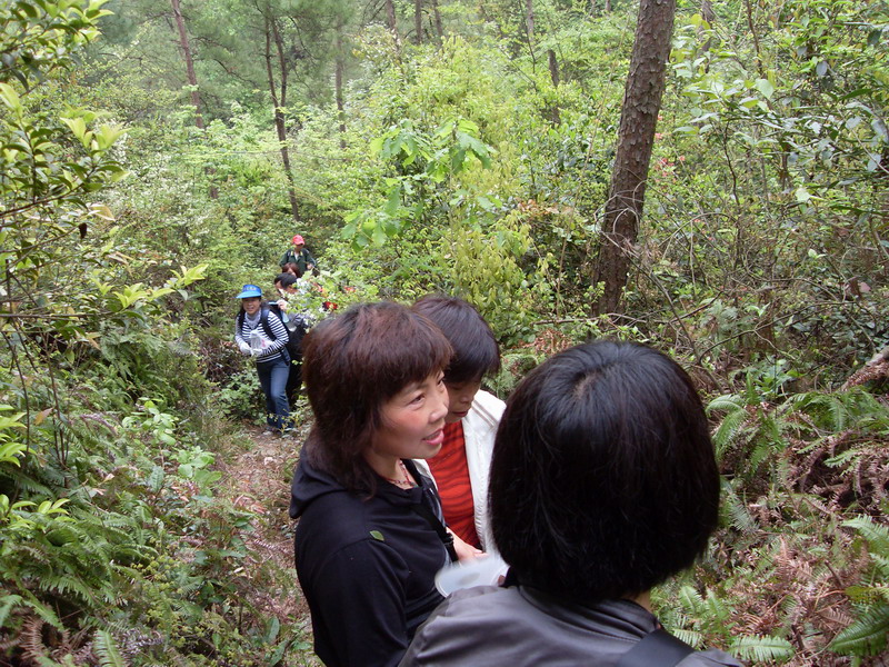 [天台驴友俱乐部]活动之---小走南山小岭