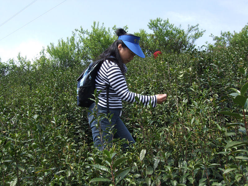 [天台驴友俱乐部]活动之---小走南山小岭