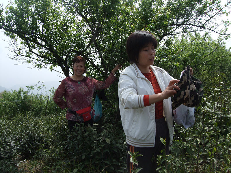 [天台驴友俱乐部]活动之---小走南山小岭