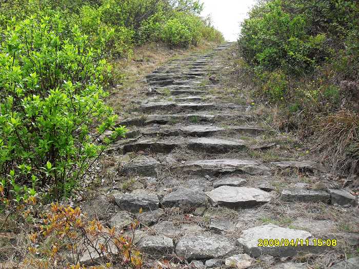 采兰深山中