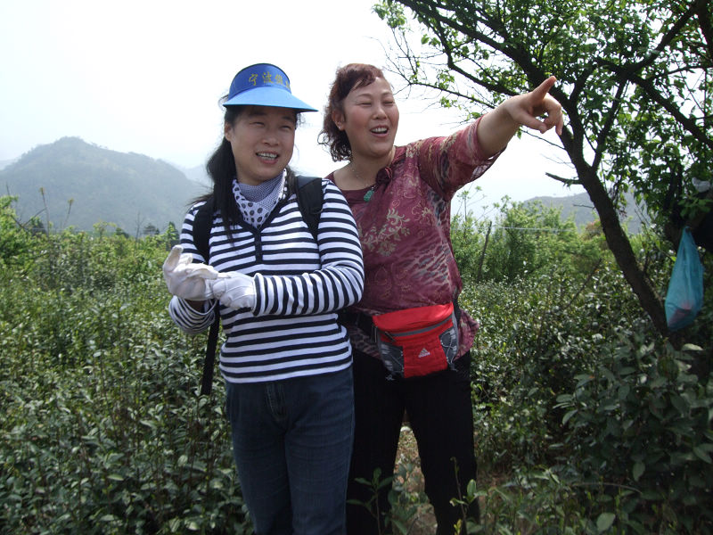 [天台驴友俱乐部]活动之---小走南山小岭