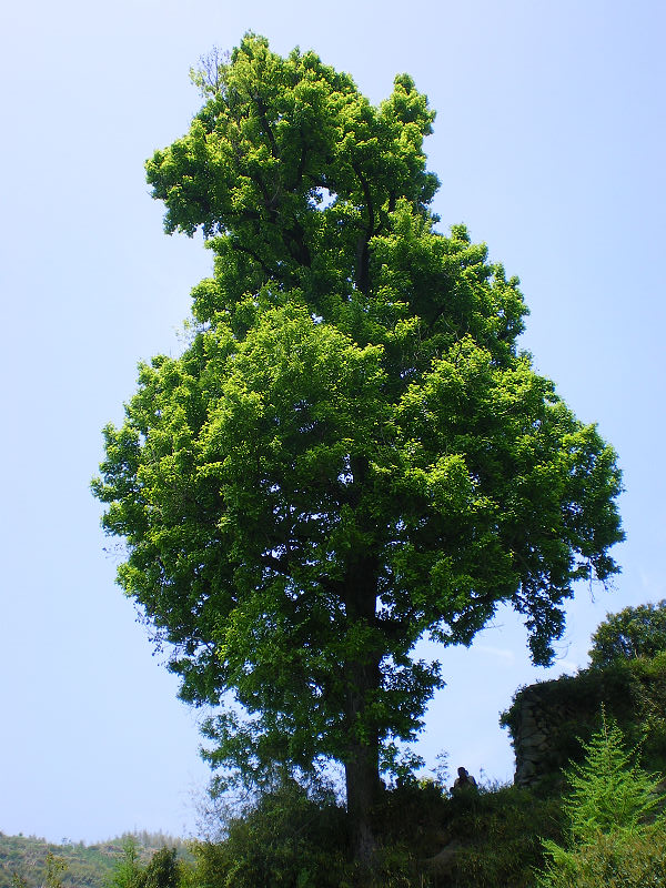 [天台驴友俱乐部]活动之---小走南山小岭