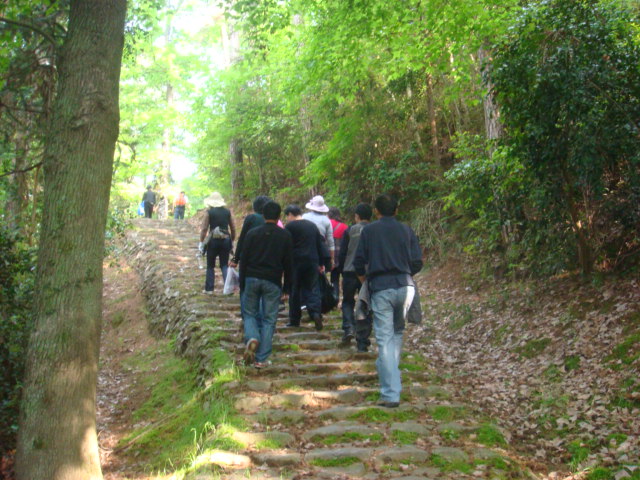 金鸡岭--塔头寺--高明寺