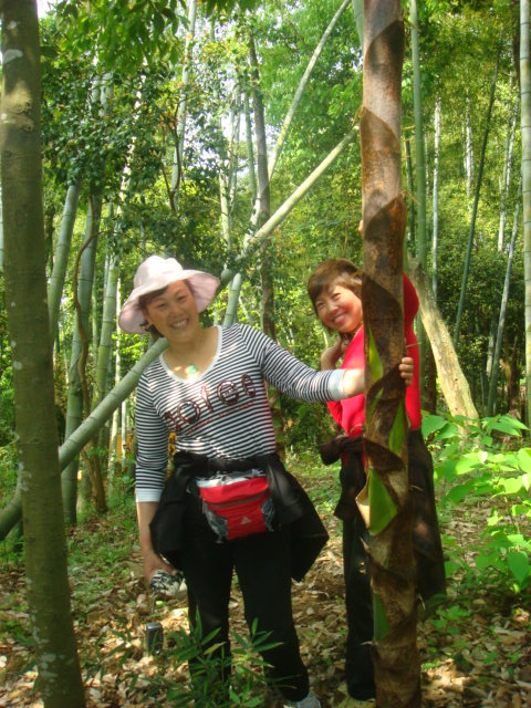 金鸡岭--塔头寺--高明寺