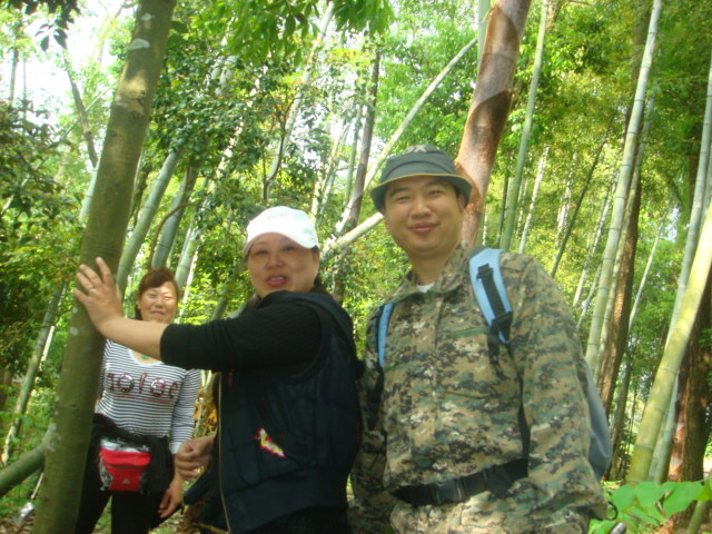金鸡岭--塔头寺--高明寺 金鸡岭--塔头寺--高明寺