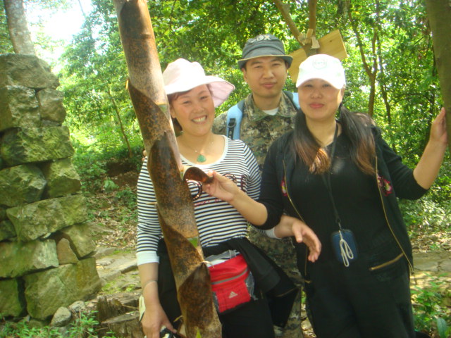 金鸡岭--塔头寺--高明寺 金鸡岭--塔头寺--高明寺