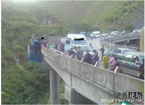 牛年开牛车  就是牛...