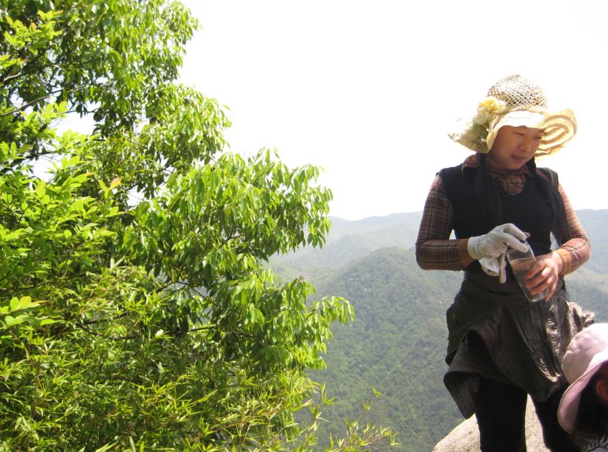 金鸡岭--塔头寺--高明寺
