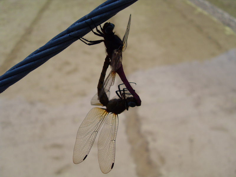 江南的香格里拉____公盂仙境穿越