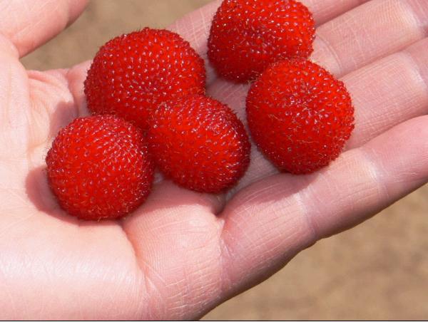 江南的香格里拉____公盂仙境穿越