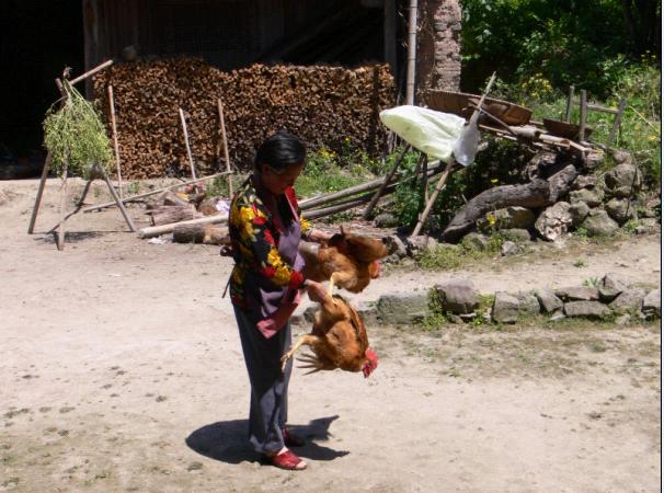 江南的香格里拉____公盂仙境穿越