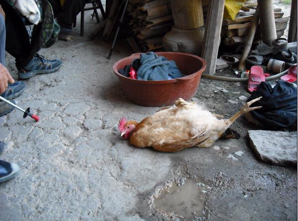 江南的香格里拉____公盂仙境穿越