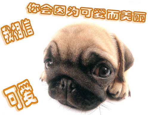 [转] 不可丢弃的十种东西