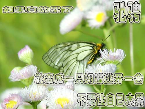 [转] 不可丢弃的十种东西