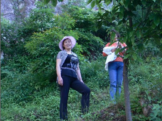 乐清市“中雁杯”登山比赛掠影