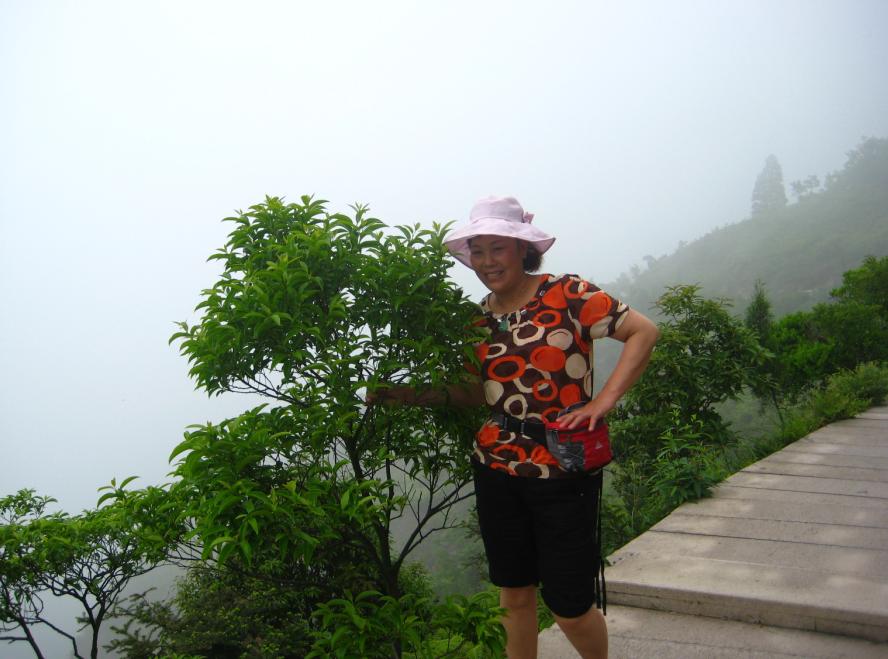 乐清市“中雁杯”登山比赛掠影