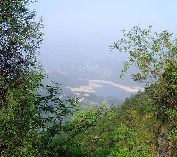 乐清市“中雁杯”登山比赛掠影