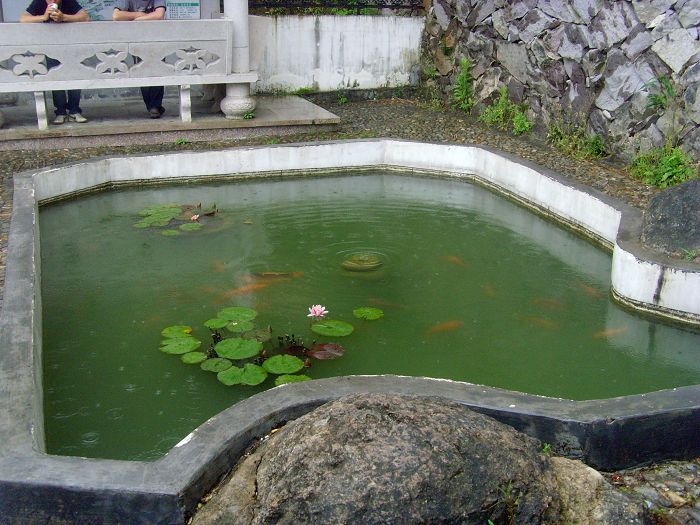 乐清市“中雁杯”登山比赛掠影