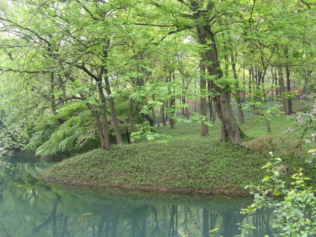 我驴我乐山水间
