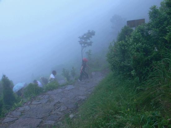 乐清市“中雁杯”登山比赛掠影