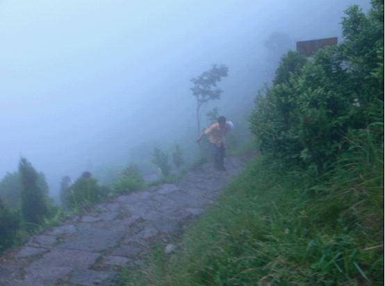 乐清市“中雁杯”登山比赛掠影