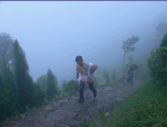 乐清市“中雁杯”登山比赛掠影