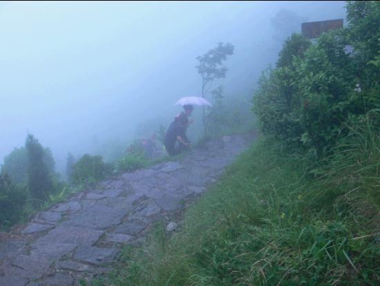乐清市“中雁杯”登山比赛掠影
