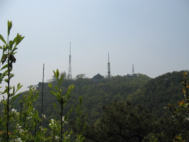 我驴我乐山水间