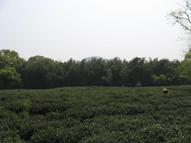 我驴我乐山水间